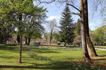 Ville de Lons Le Saunier - France - Parc Edouard Guenon