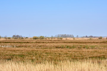 Obraz premium Grass and sky in Groningen - Holland - Netherlands
