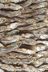 Arranged small dried fish pattern