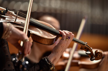 Violin players hand detail during philharmonic orchestra performance - obrazy, fototapety, plakaty