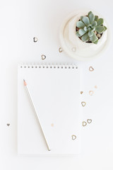 Notebook, white sheet, pencil, succulent. White background