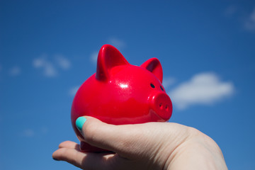 Pink piggy Bank on the palm on background of blue sky