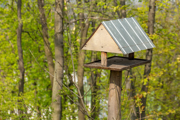 Wooden Bird house on a tree in the park
