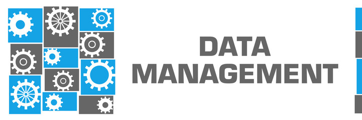 Data Management Blue Grey Gears Left Grid 