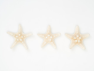 Starfish on a white background