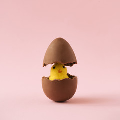 Chick hatched out of chocolate Easter egg on pastel pink background. Minimal holiday concept.