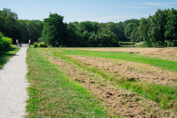 grass field and bridge in recreation park De Hulk, Hoorn, The Netherlands