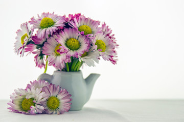 It's spring!  Daisies ... scents of spring!