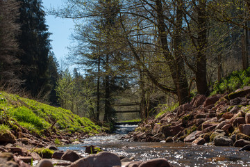 The mountain stream in the Black Forest, Germany in a beautiful, very hot day.