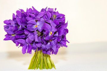 It's spring! Violets ... scents of spring!