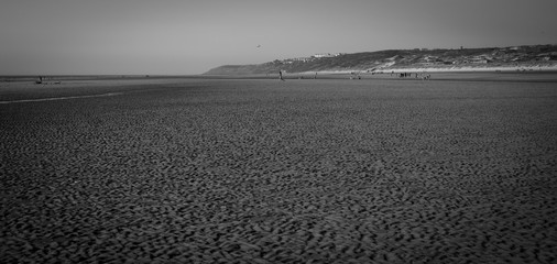 Obraz premium running on the beach black and white