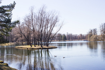 Tsarskoye Selo, Pushkin. Suburb of St. Petersburg, Russia. View of the park, lake and bridge