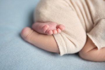 feet of a newborn baby. legs on a blue background. baby feet