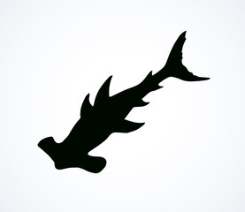 Seaweed. Vector drawing