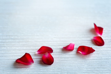 rose petals on a white wooden background