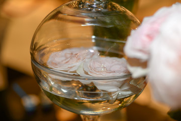 Fototapeta na wymiar rose in a glass