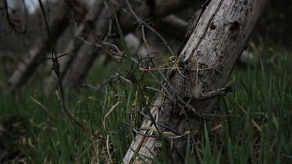 German protection line
