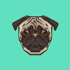 Vector close up portrait of  Pug