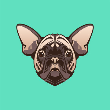Vector close up portrait of French Bulldog