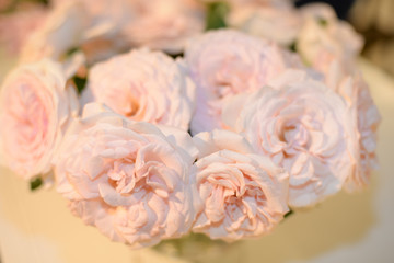 bouquet of pink roses