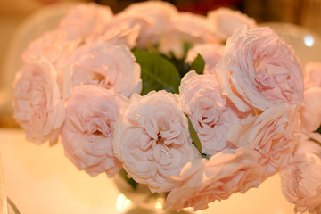 bouquet of pink roses