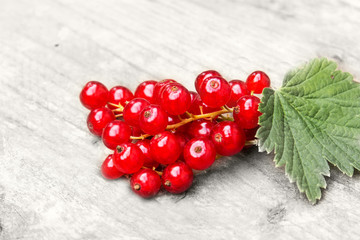 Red currant berries on the board. Summer berry background with place for text. Close-up.