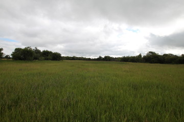 бурятия байкал иркутск заповедник селенга природа туристы