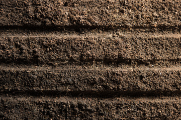  Top view of soil prepared for planting