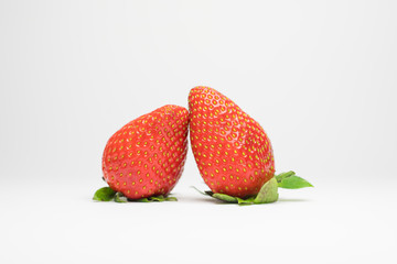 Morangos Frescos e Vermelhos