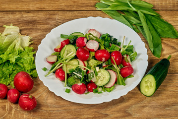Spring salad with radish , onion and cucumber
