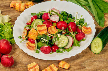 Spring salad with radish , onion and cucumber