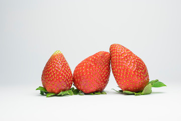 Morangos Frescos e Vermelhos