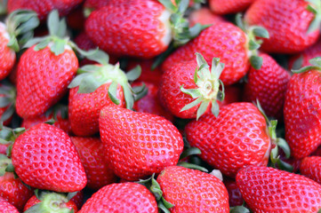 Fresas