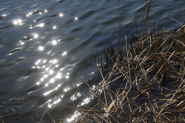 川の水面のきらめき