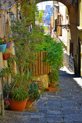 Fototapeta na wymiar Plants and flowers in an alleyway in Naples