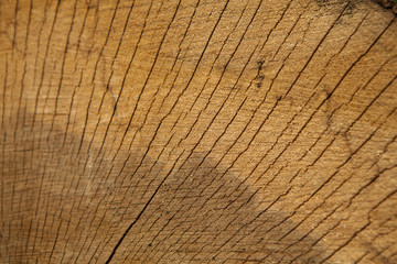 Dark wooden texture. Wood brown texture. Background old panels. Retro wooden table. Rustic...
