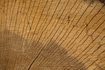 Dark wooden texture. Wood brown texture. Background old panels. Retro wooden table. Rustic background. Vintage colored surface.