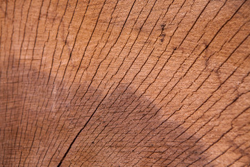 Dark wooden texture. Wood brown texture. Background old panels. Retro wooden table. Rustic background. Vintage colored surface.