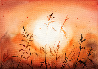 dawn in the field. evening. the sun. sunset the shadows. summer  plants. grass. botany. watercolor