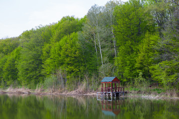 Obraz premium Beautiful landscape in forest with lake. Beautiful trees with reflections.