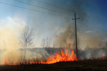 Fototapeta na wymiar Burning of straw on the field smoke fire electric poles