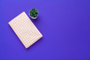 books on a blue background