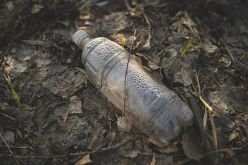 Garbage in the Park or forest, an empty bottle lying on the ground. The concept of environmental pollution, environmental problems of nature.