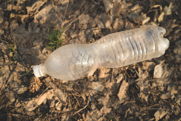 Garbage in the Park or forest, an empty bottle lying on the ground. The concept of environmental...