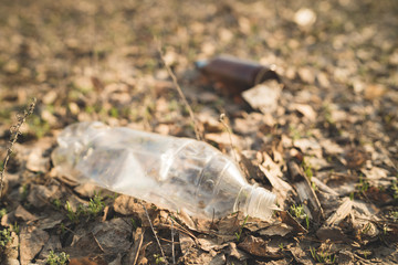 Garbage in the Park or forest, an empty bottle lying on the ground. The concept of environmental pollution, environmental problems of nature.