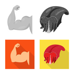 Vector design of fiber and muscular icon. Set of fiber and body  stock symbol for web.