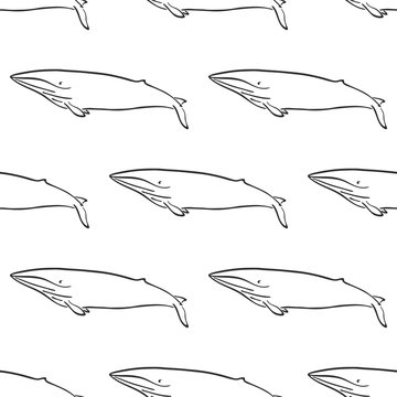 Whale character abstract hand drawn vector seamless pattern. Retro illustration. Marine wild mammal. Ocean and sea animal curve paint sign. Doodle sketch. Element for design, wallpaper, fabric print.