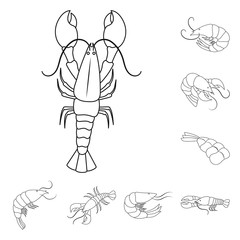 Vector illustration of food  and sea icon. Collection of food  and animal  stock vector illustration.