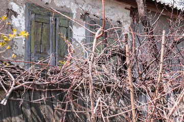 Old abandoned house with closed wooden shutters