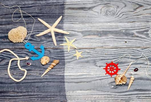 Marine background with shells and starfish